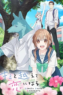 Постер к аниме Пересечение стен любви с тобой